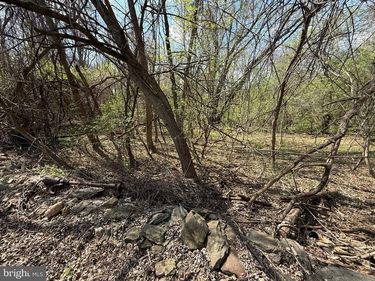 PHILOMONT RD , PURCELLVILLE, VA 20132