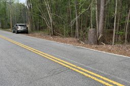 00 Old Congaree Run photo 4