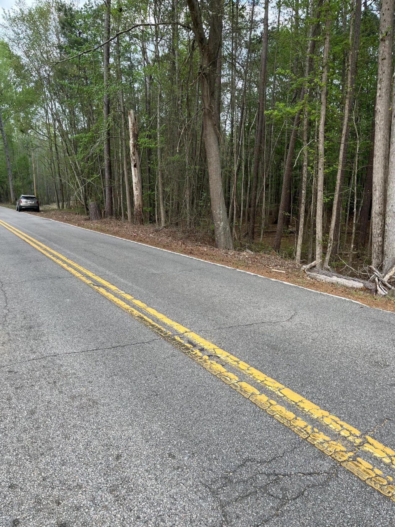 00 Old Congaree Run Photo 4