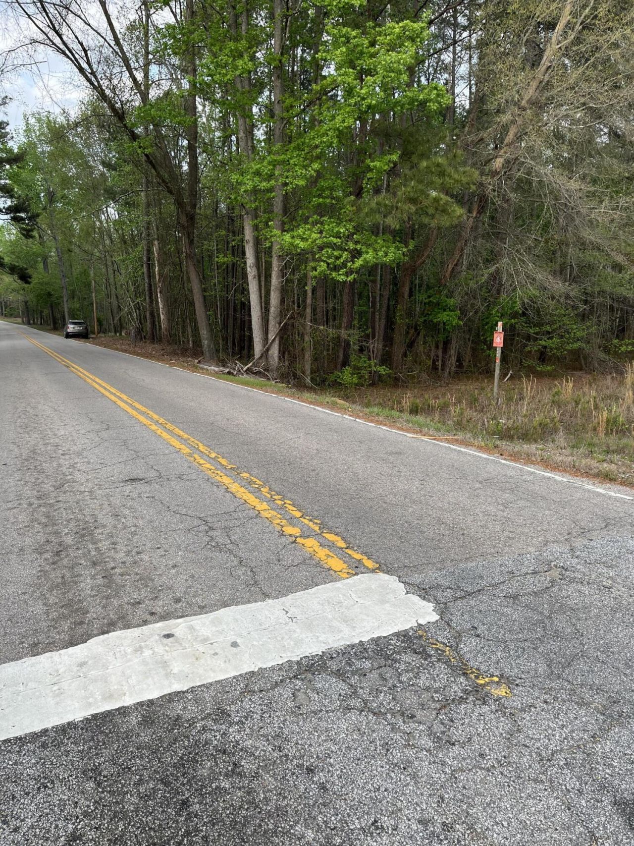 00 Old Congaree Run Photo 5