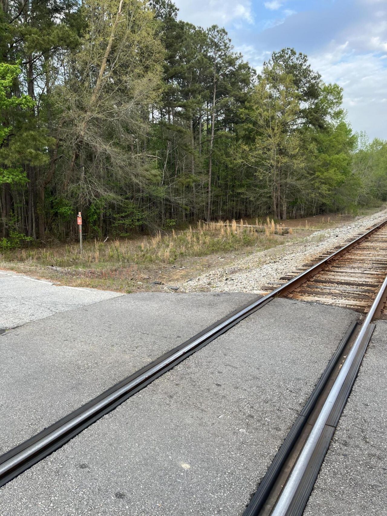 00 Old Congaree Run Photo 7