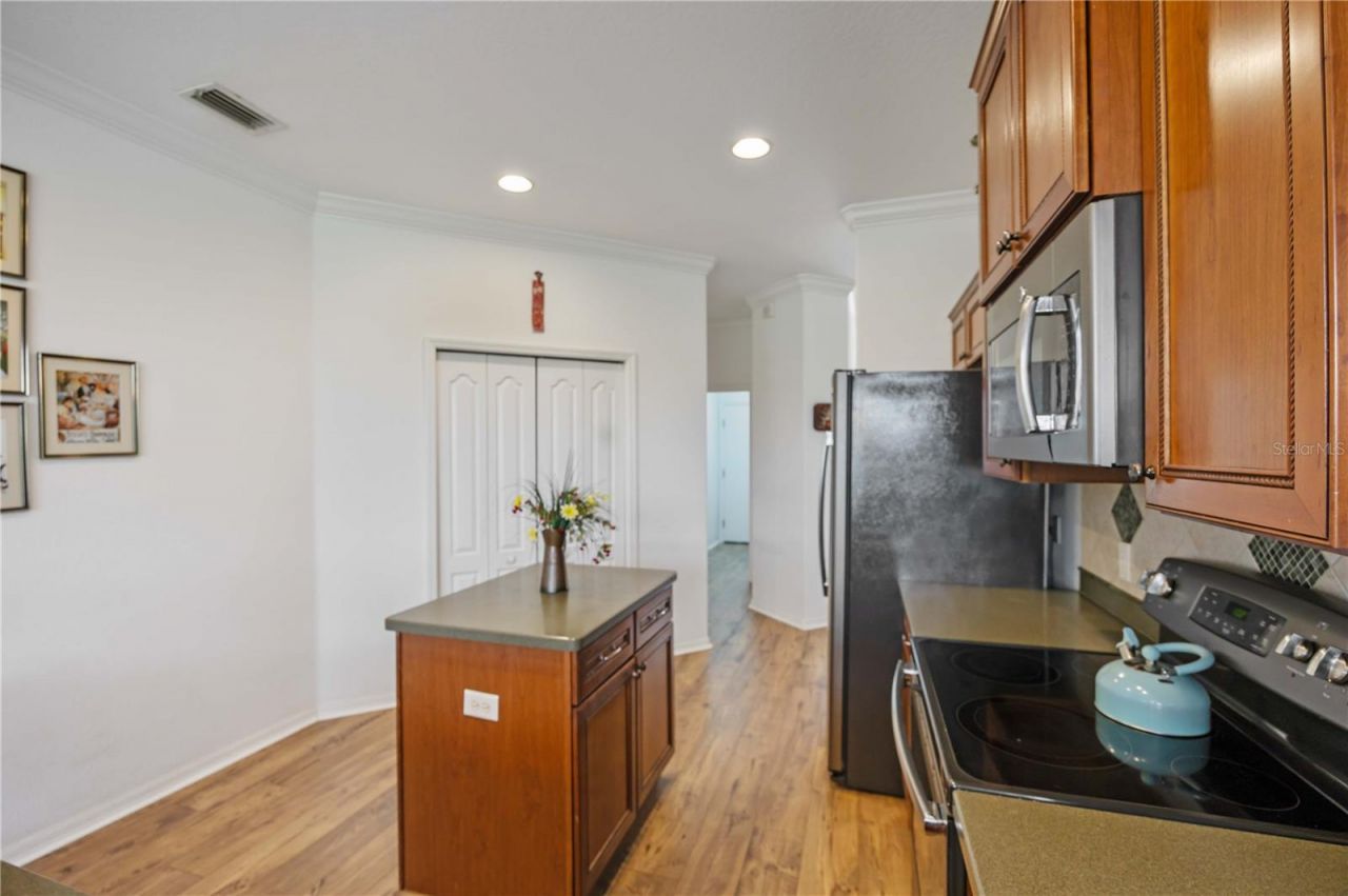 226 Heritage Isles Way, Bradenton, FL 34212 Photo