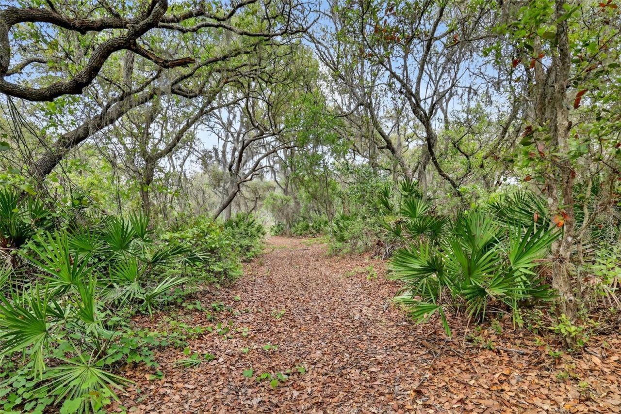 36707 County Road 439 , Eustis, FL 32736 Photo