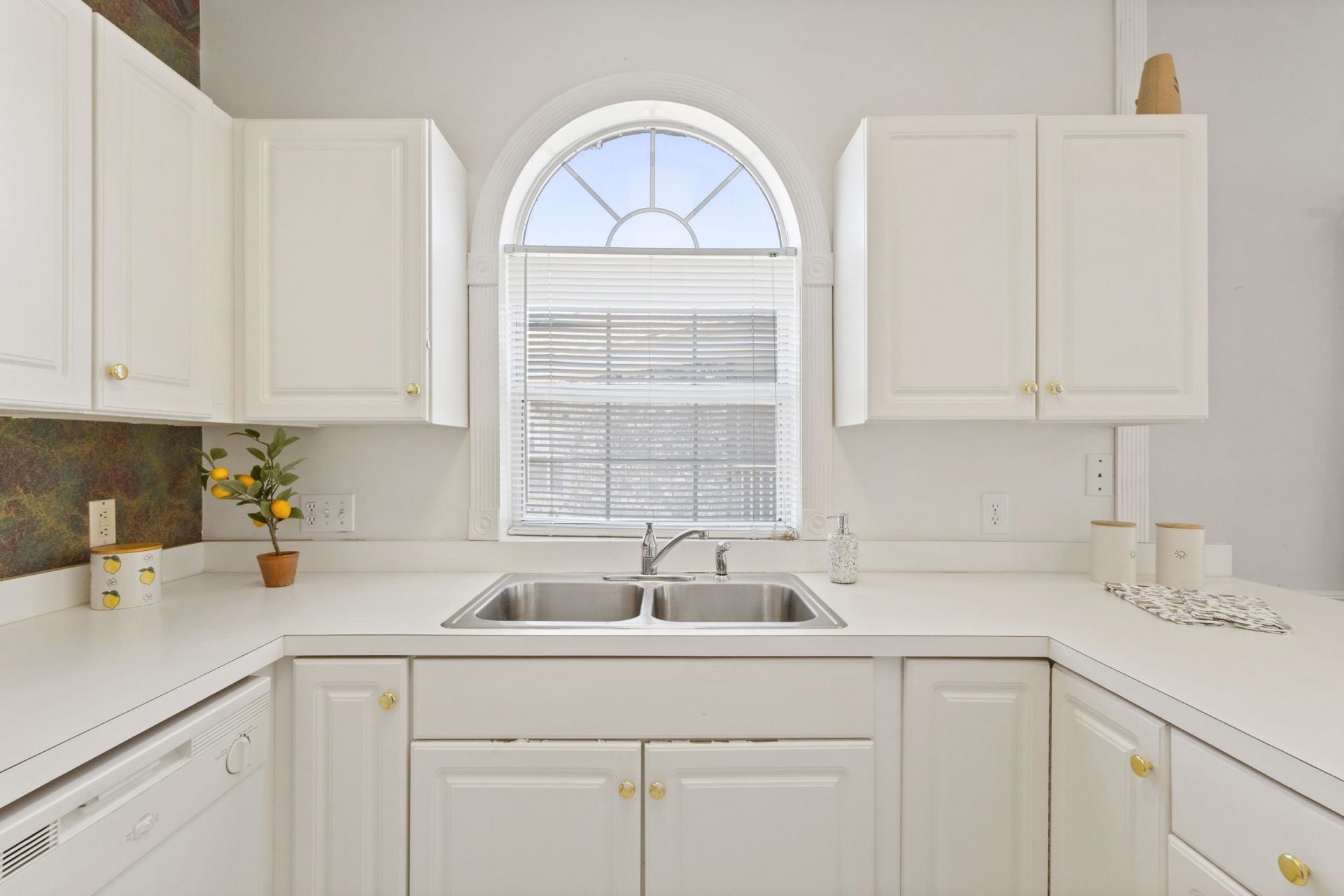 4765 Wild Iris Dr.  Photo 6