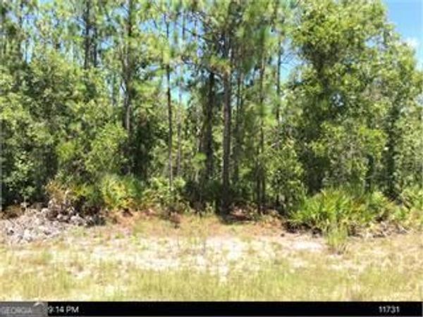 6927 Greenfield Road, Blackshear, GA 31516