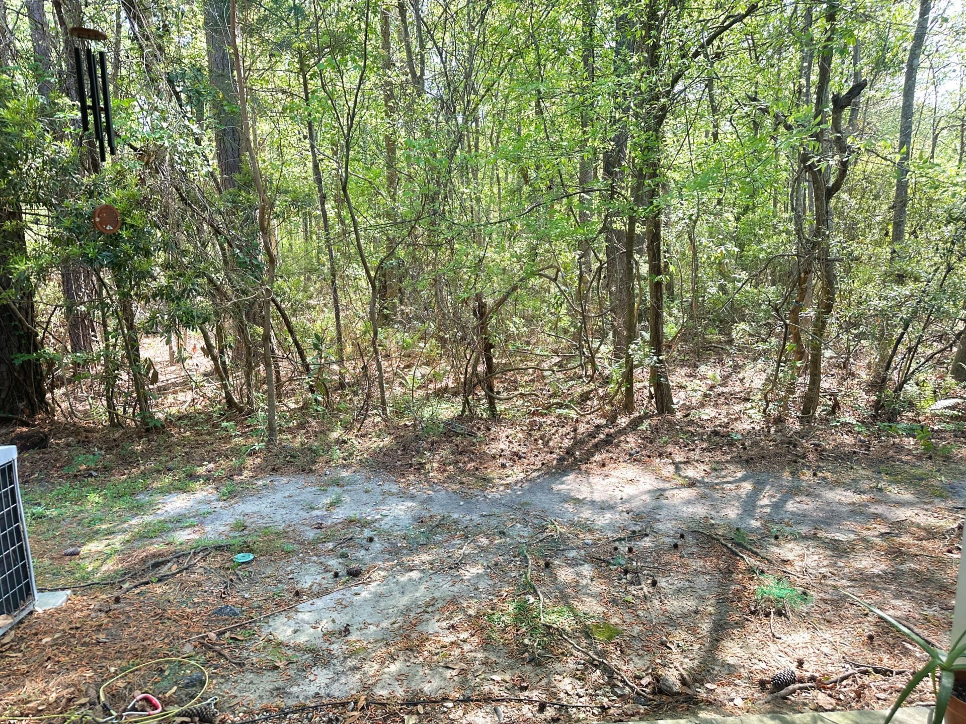 1204 Pine Bluff Drive Photo 12