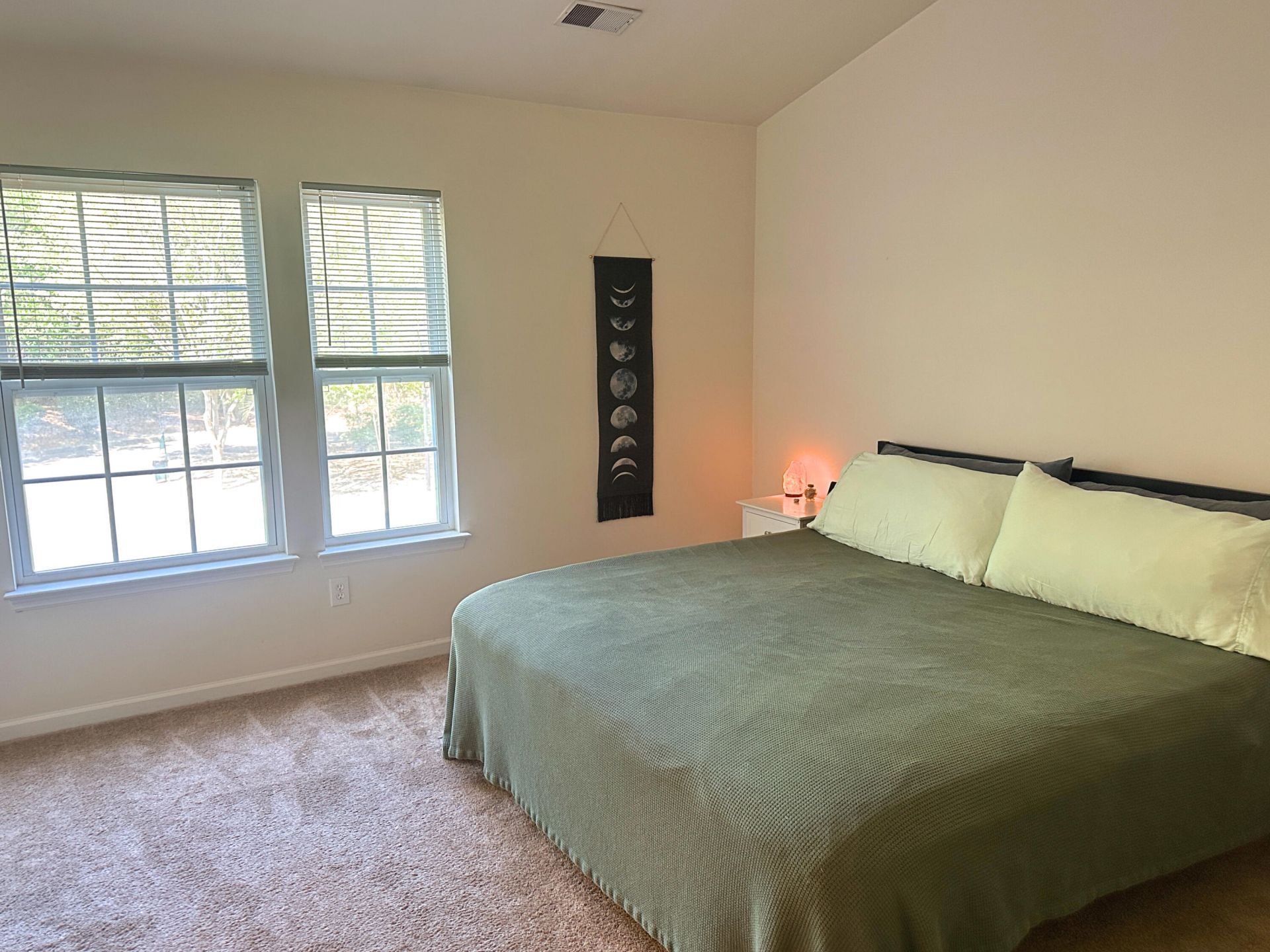 1204 Pine Bluff Drive Photo 15