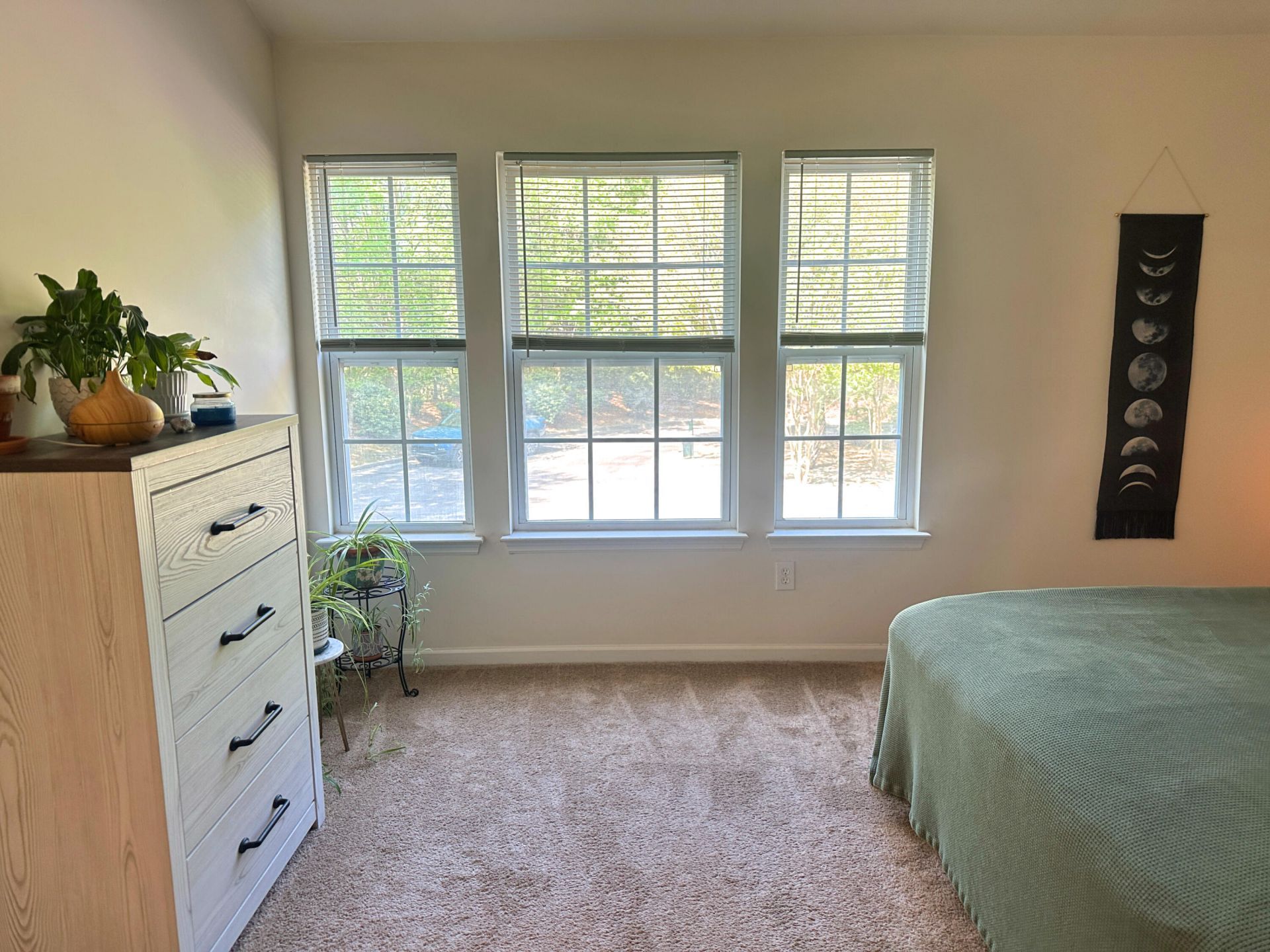 1204 Pine Bluff Drive Photo 16