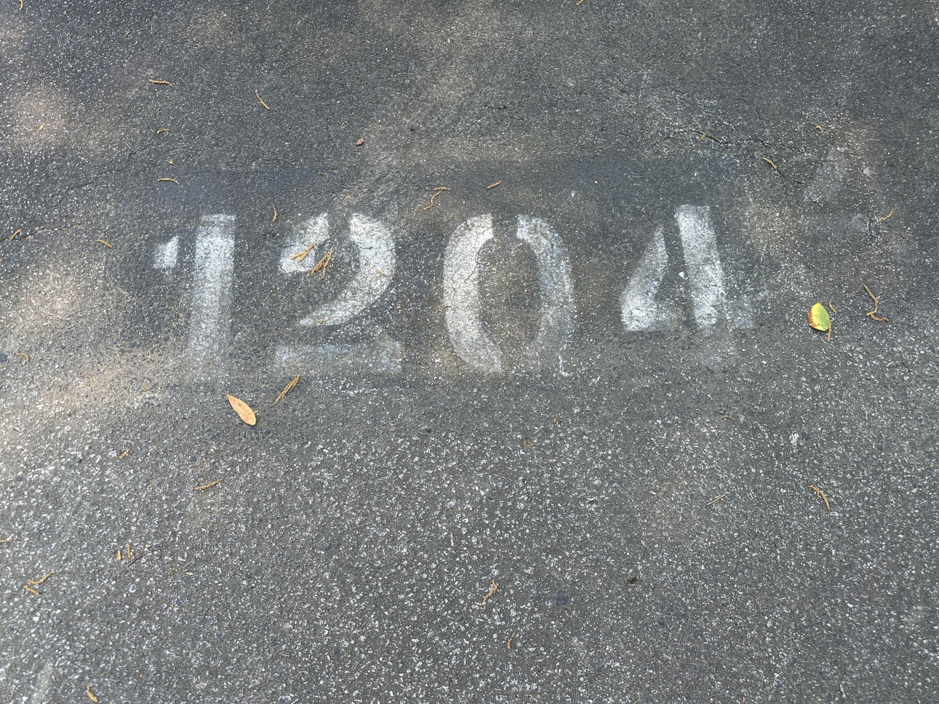 1204 Pine Bluff Drive Photo 29