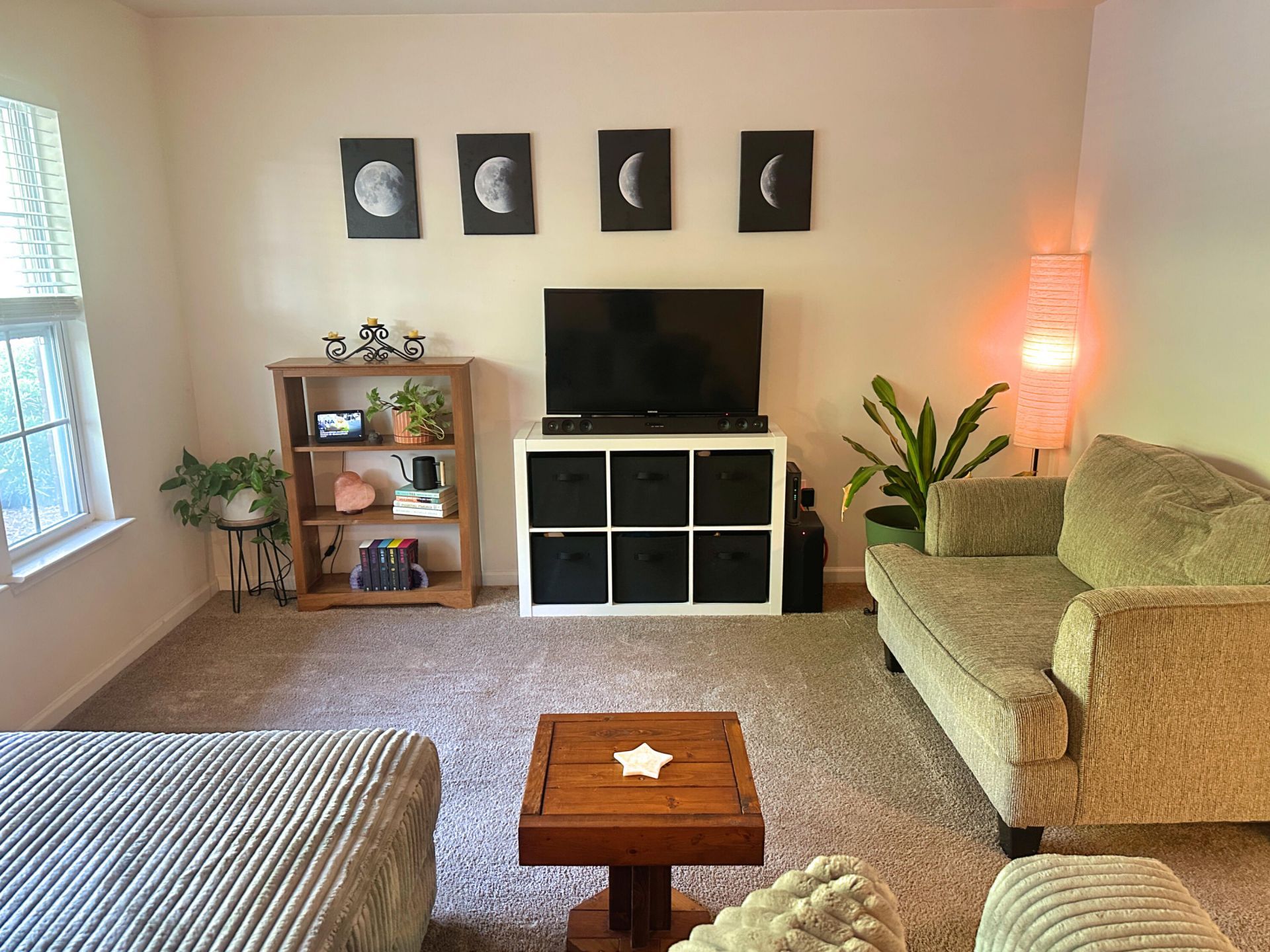 1204 Pine Bluff Drive Photo 5