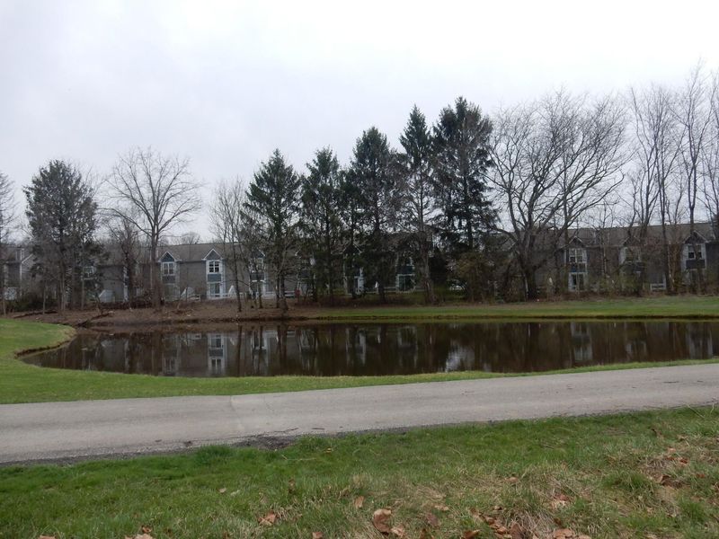 4781 Powderhorn Lane, Unit 4, Westerville, OH 43081 Photo 8