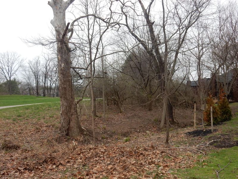 4781 Powderhorn Lane, Unit 4, Westerville, OH 43081 Photo 9