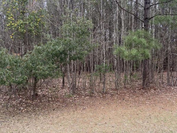 Lot 88 Johnson Drive, Hertford, NC 27944