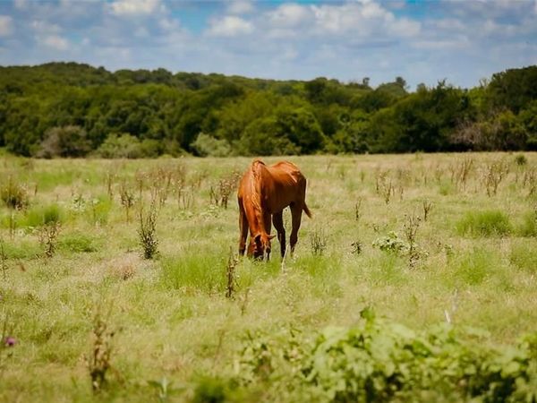 000 FM 308 , Milford, TX 76670