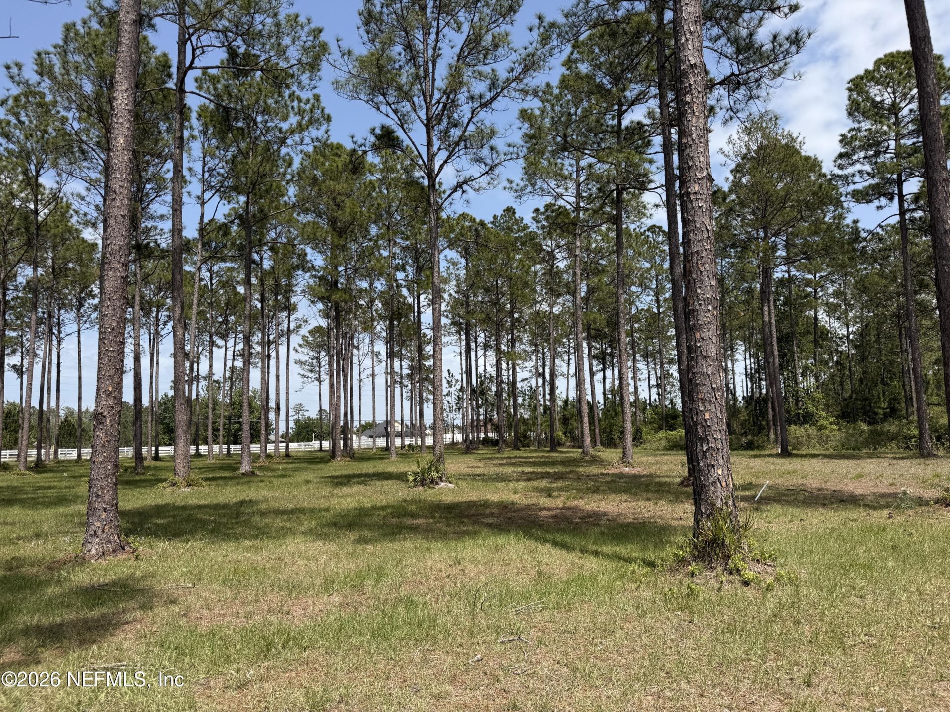 10107 Hunters Chase Court, Jacksonville, FL 32219 Photo