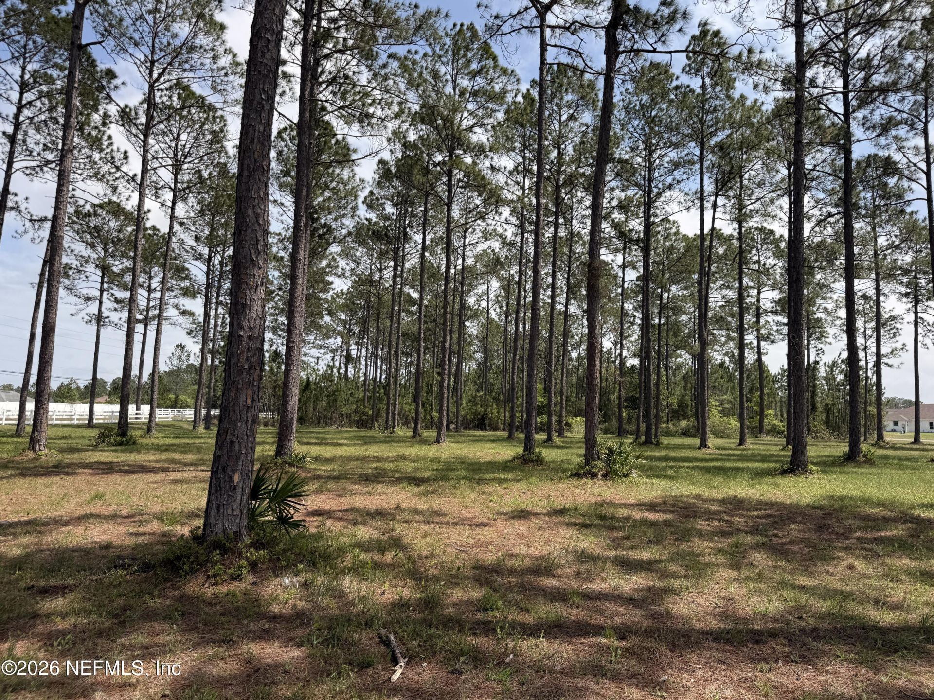 10107 Hunters Chase Court, Jacksonville, FL 32219 Photo