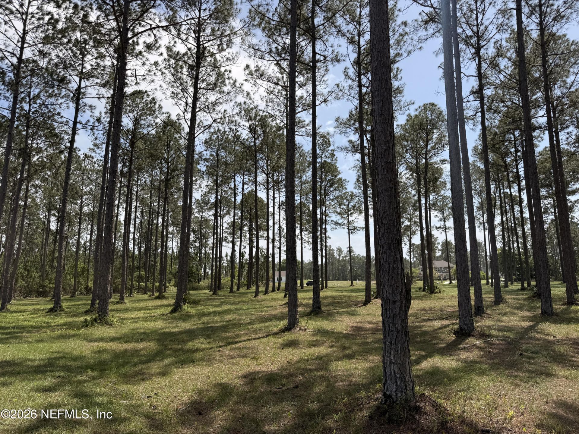 10107 Hunters Chase Court, Jacksonville, FL 32219 Photo