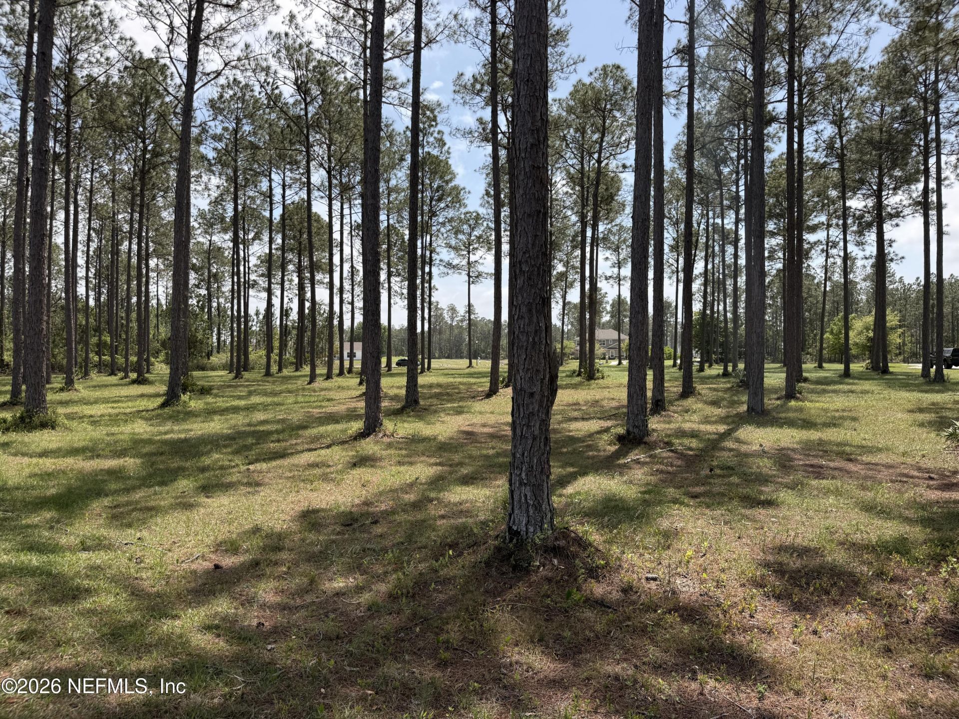 10107 Hunters Chase Court, Jacksonville, FL 32219 Photo