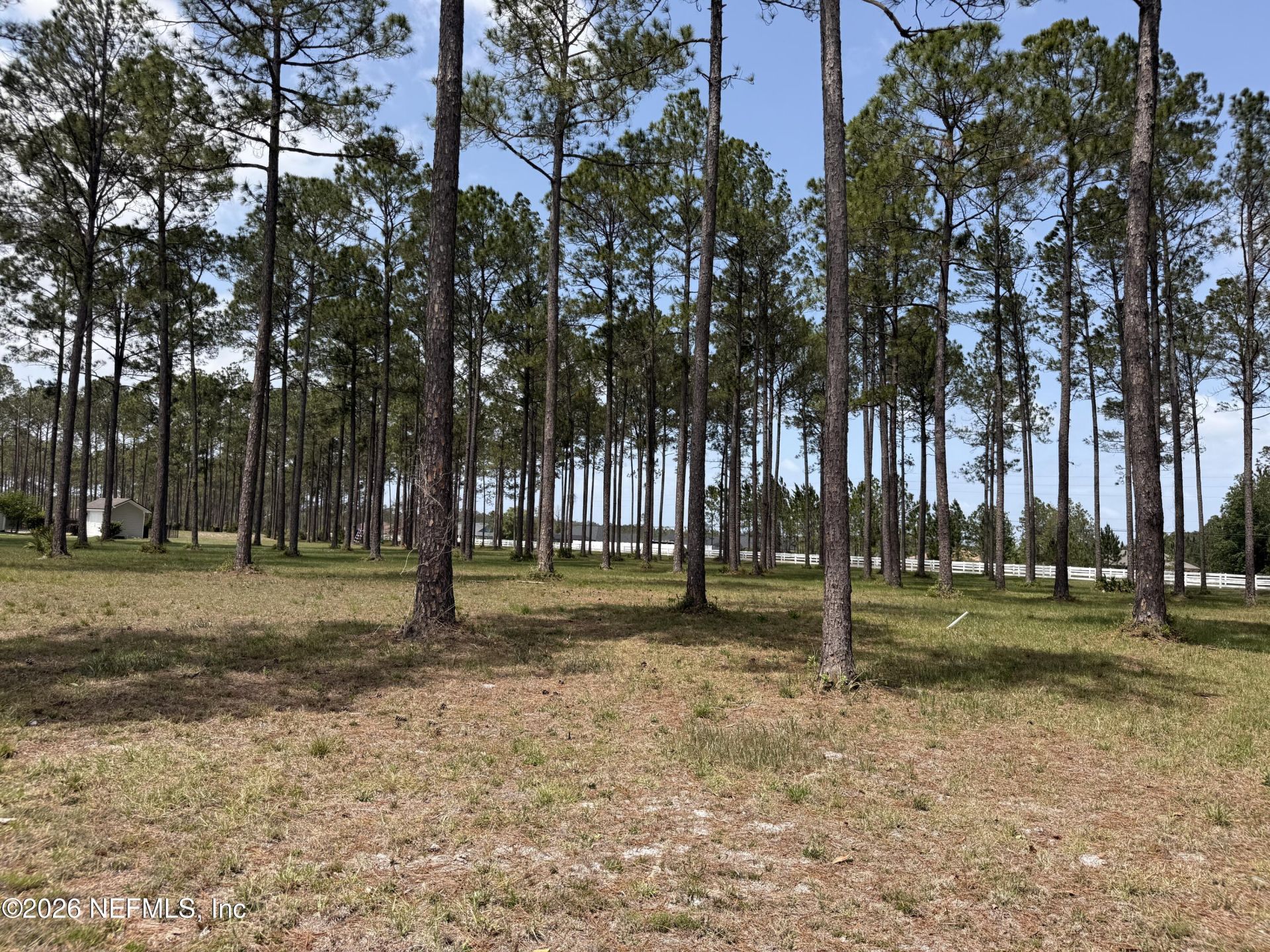 10107 Hunters Chase Court, Jacksonville, FL 32219 Photo