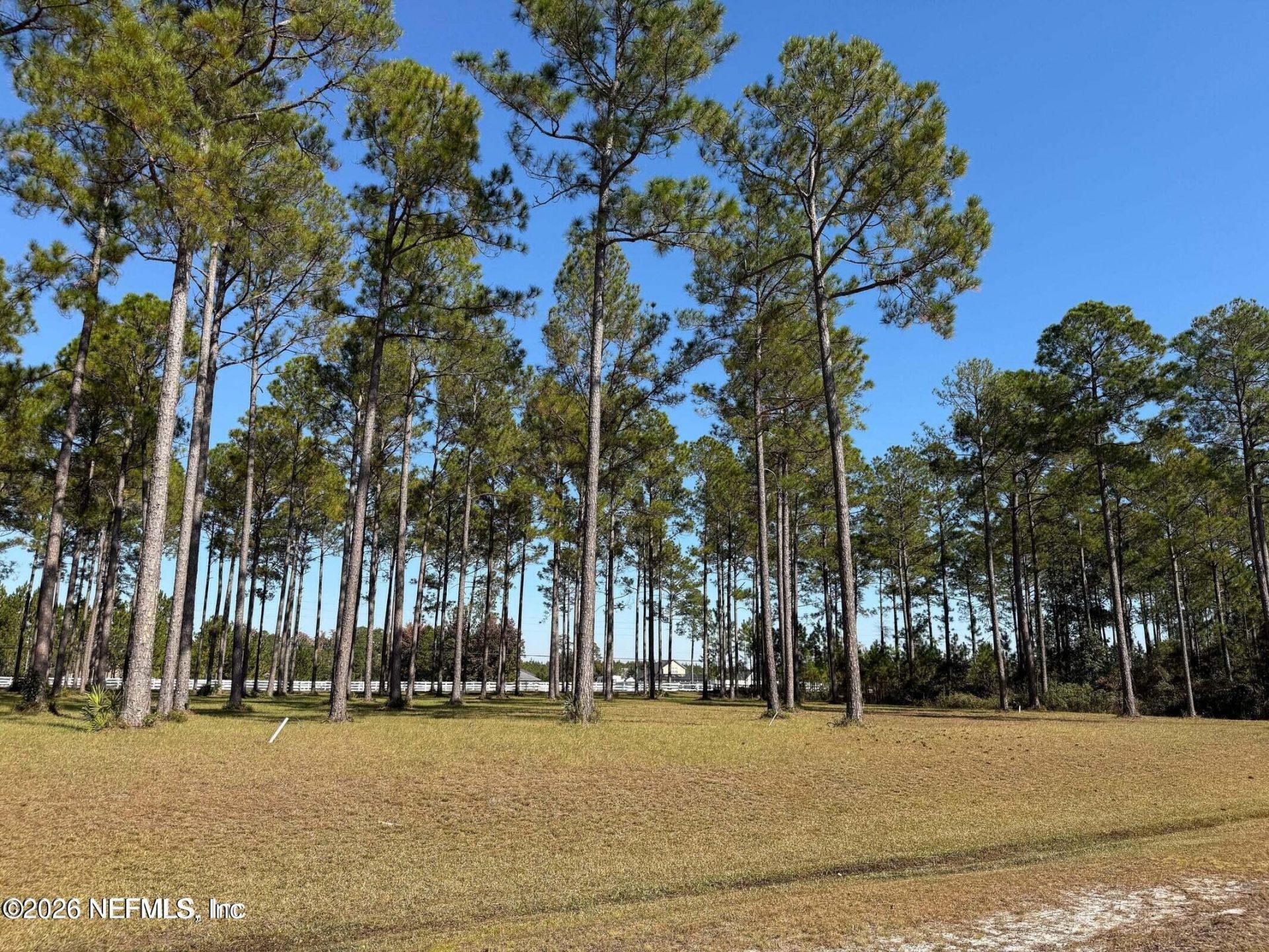 10107 Hunters Chase Court, Jacksonville, FL 32219 Photo