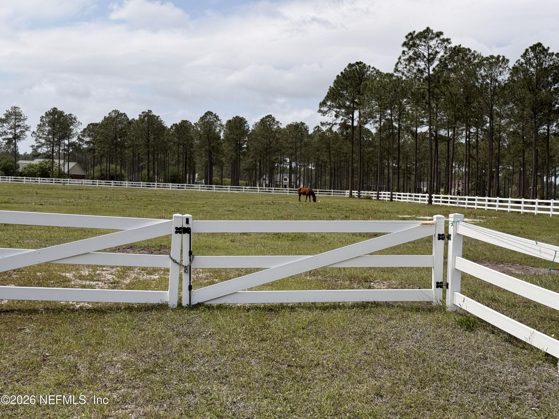 10107 Hunters Chase Court, Jacksonville, FL 32219 Photo