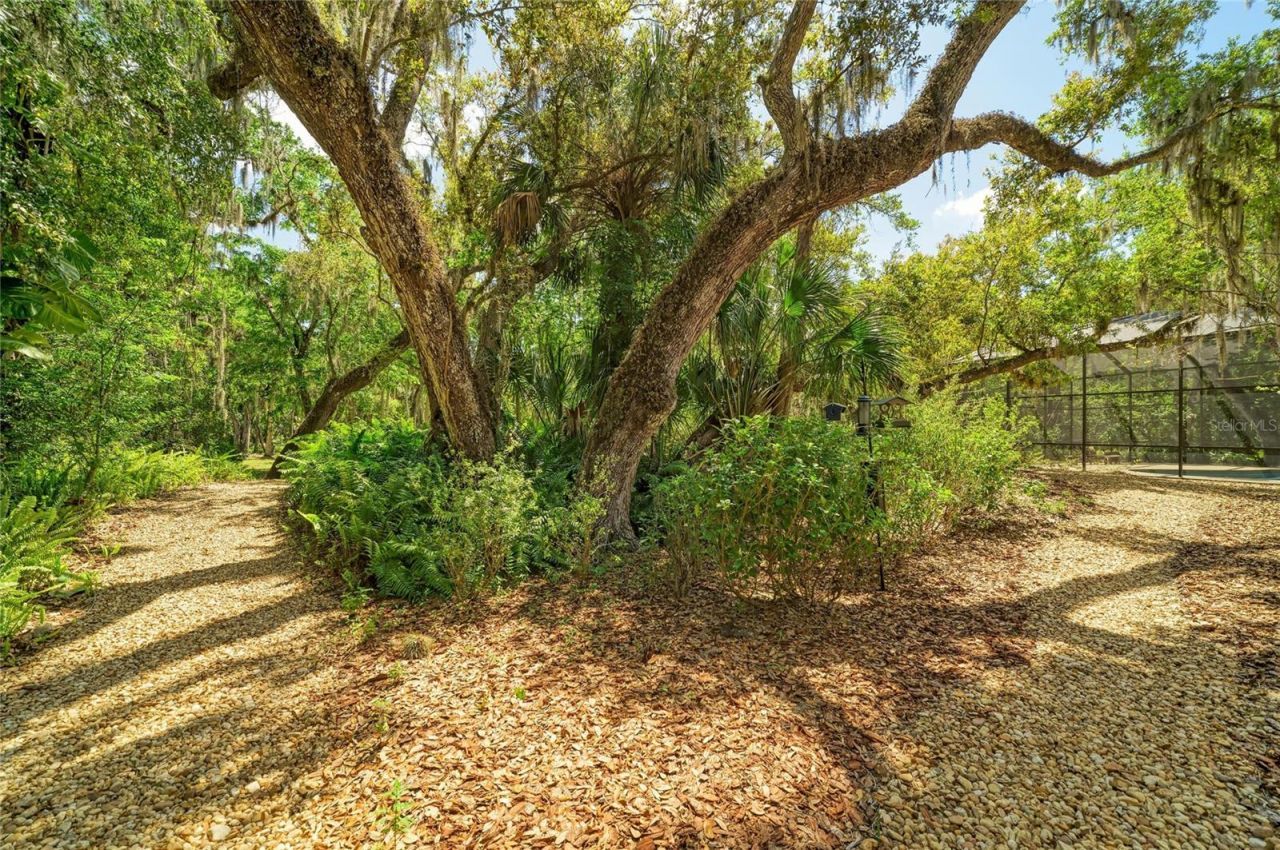 3705 62nd Street E, Bradenton, FL 34208 Photo