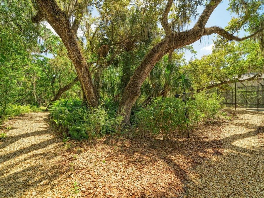Property Image 68