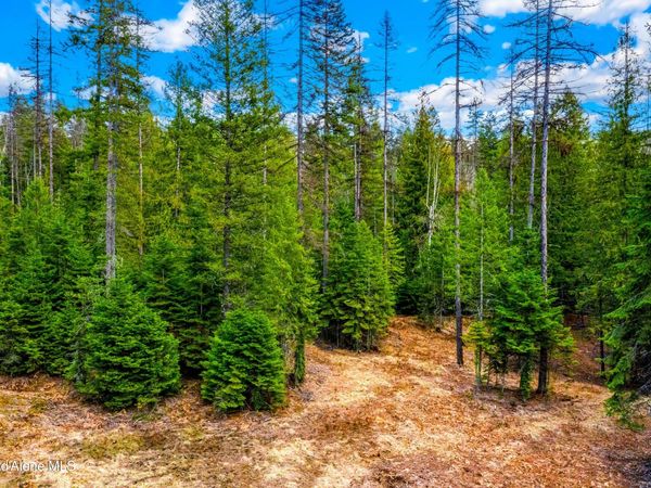 Kreiger Creek Rd. , Careywood, ID 83809