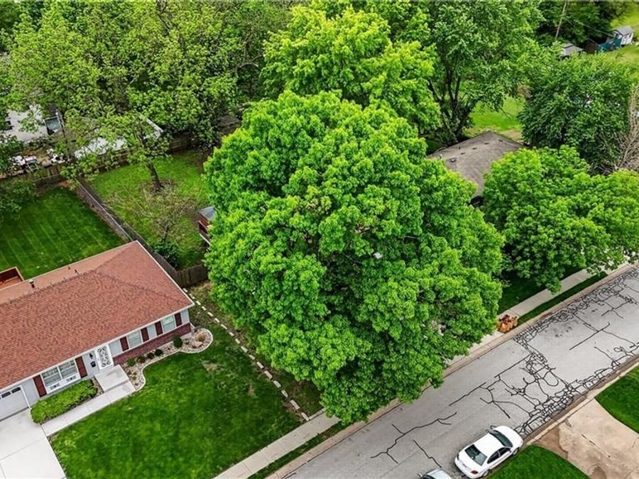Property Image 56