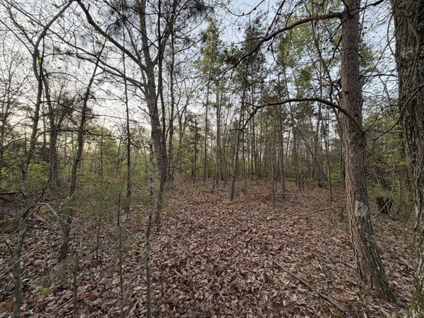 0 Salem Road, Centerville, TN 37033