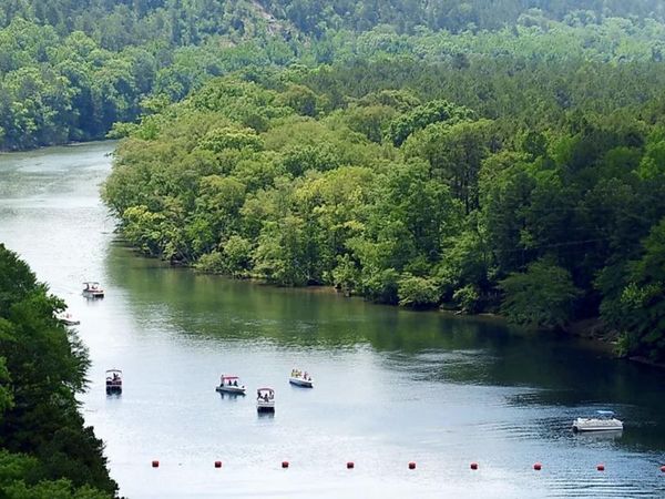 TBD Hwy 298, Sims, AR 71969