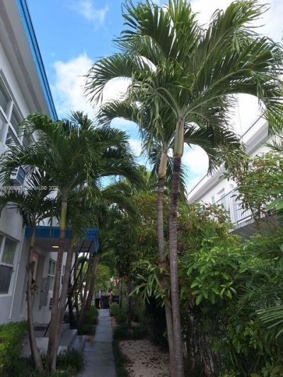 755 83rd St, Unit 3, Miami Beach, FL 33141 Photo