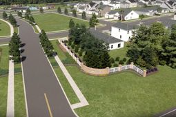 720 Blue Mistflower Drive photo 4