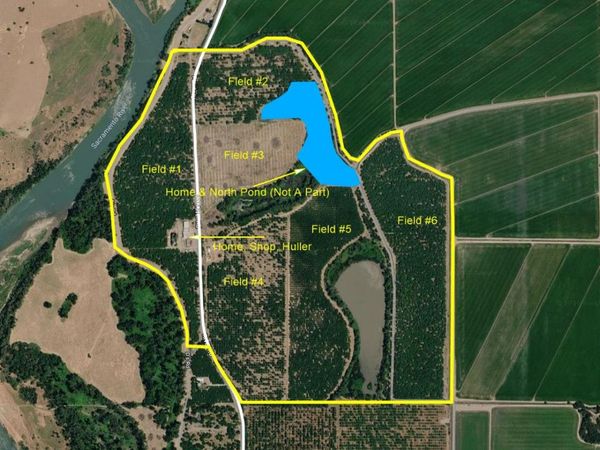 3869 River Rd, Colusa, CA 95932
