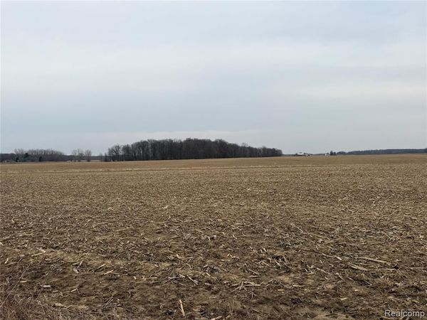 V/L Ringle , Juniata Twp, MI 48723