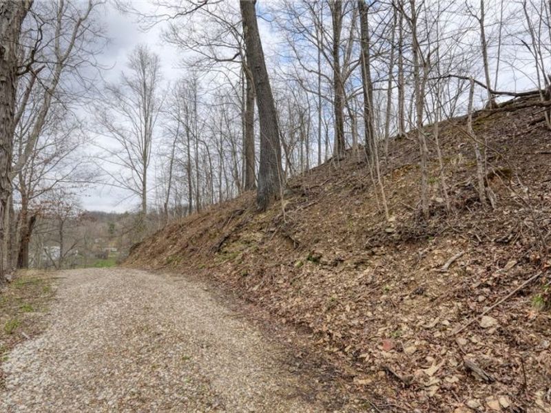 12040 Robins Road, Byesville, OH 43723 Photo 5