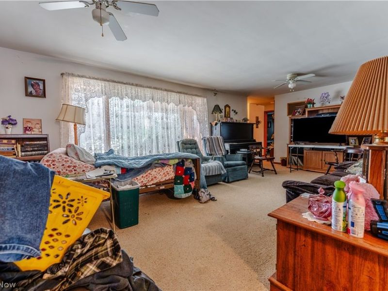 5329 Slater Road, Williamsfield, OH 44093 Photo 34