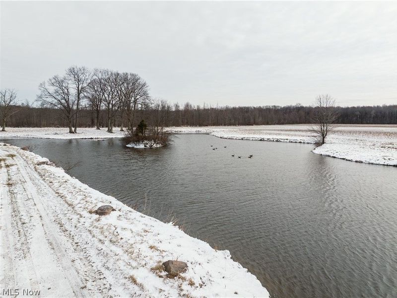 5329 Slater Road, Williamsfield, OH 44093 Photo 31