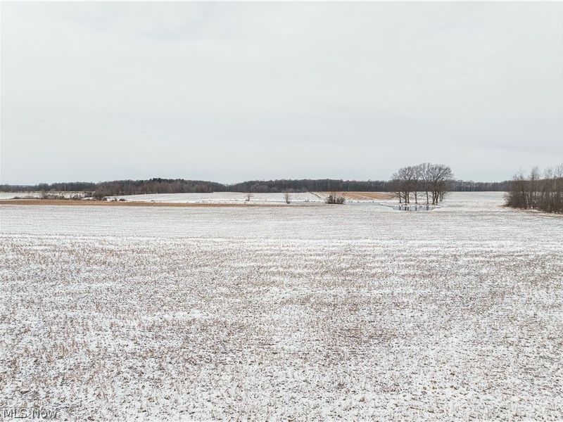 5329 Slater Road, Williamsfield, OH 44093 Photo 47