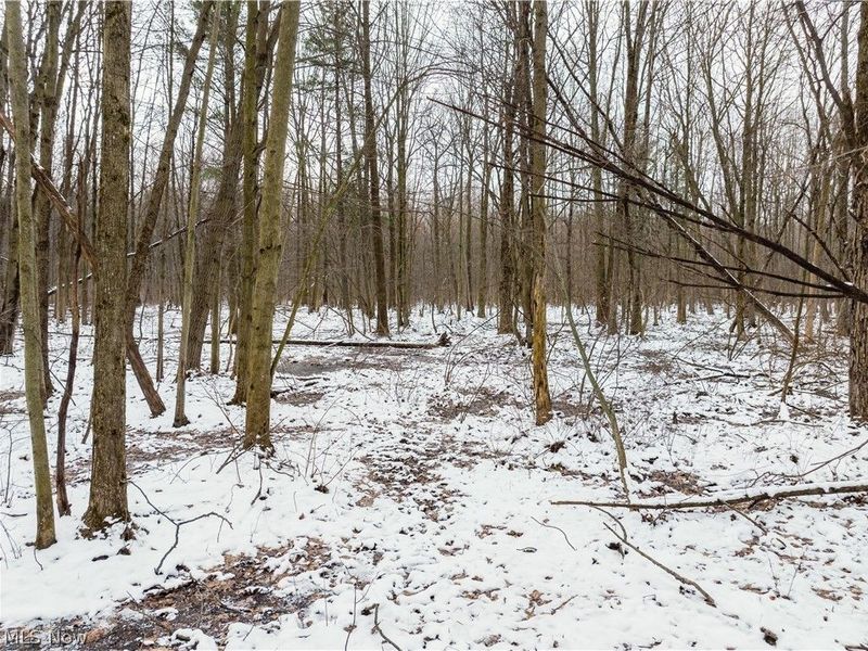 Slater Road, Williamsfield, OH 44093 Photo 10