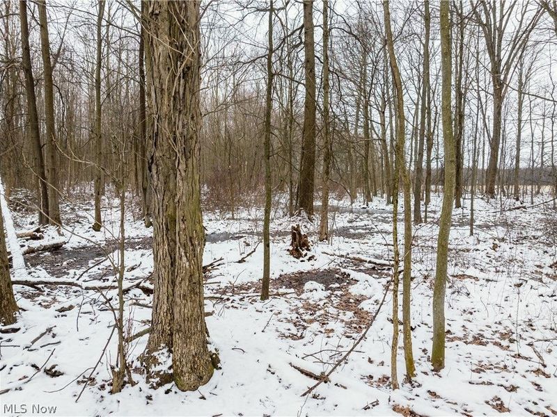 Slater Road, Williamsfield, OH 44093 Photo 11