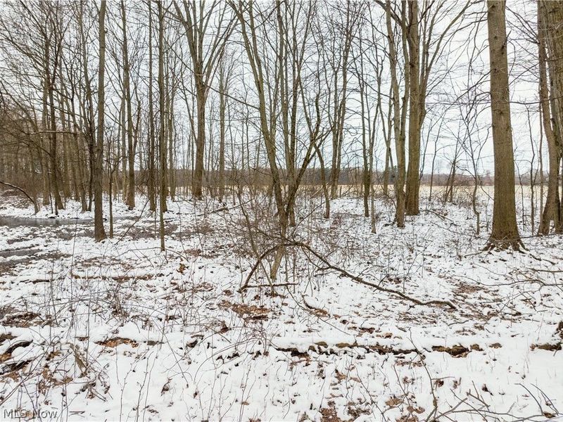 Slater Road, Williamsfield, OH 44093 Photo 12