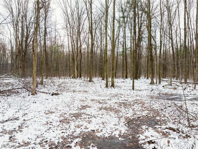 Slater Road, Williamsfield, OH 44093 Photo 14