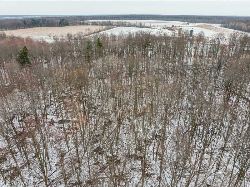 Slater Road, Williamsfield, OH 44093 Photo 6