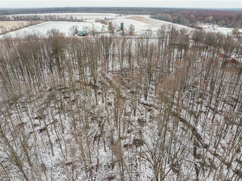 Slater Road, Williamsfield, OH 44093 Photo 7