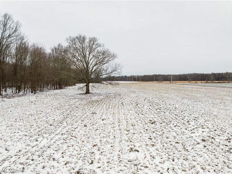 Slater Road, Williamsfield, OH 44093 Photo 8