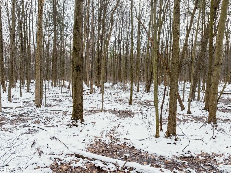 Slater Road, Williamsfield, OH 44093 Photo 9