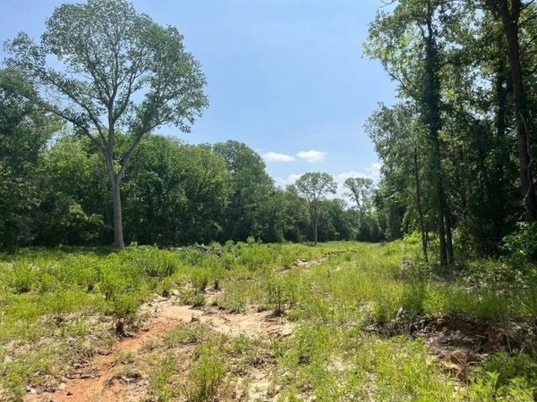 Lot 45 Antrim Ct , Poolville, TX 76487