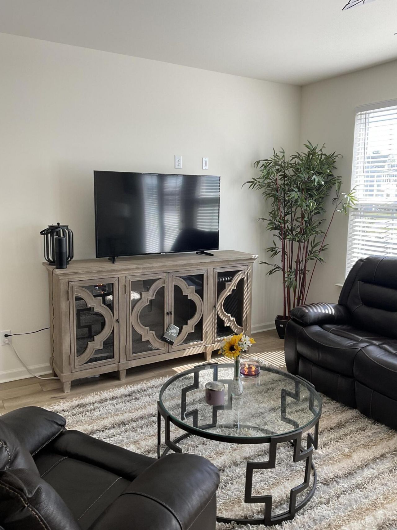 438 Trotters Lane Photo 10