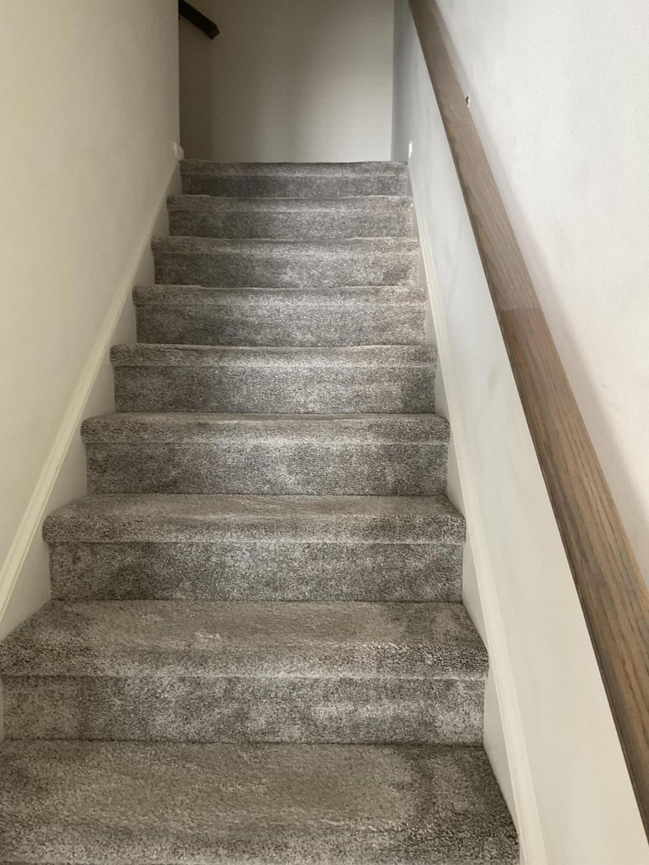 438 Trotters Lane Photo 13